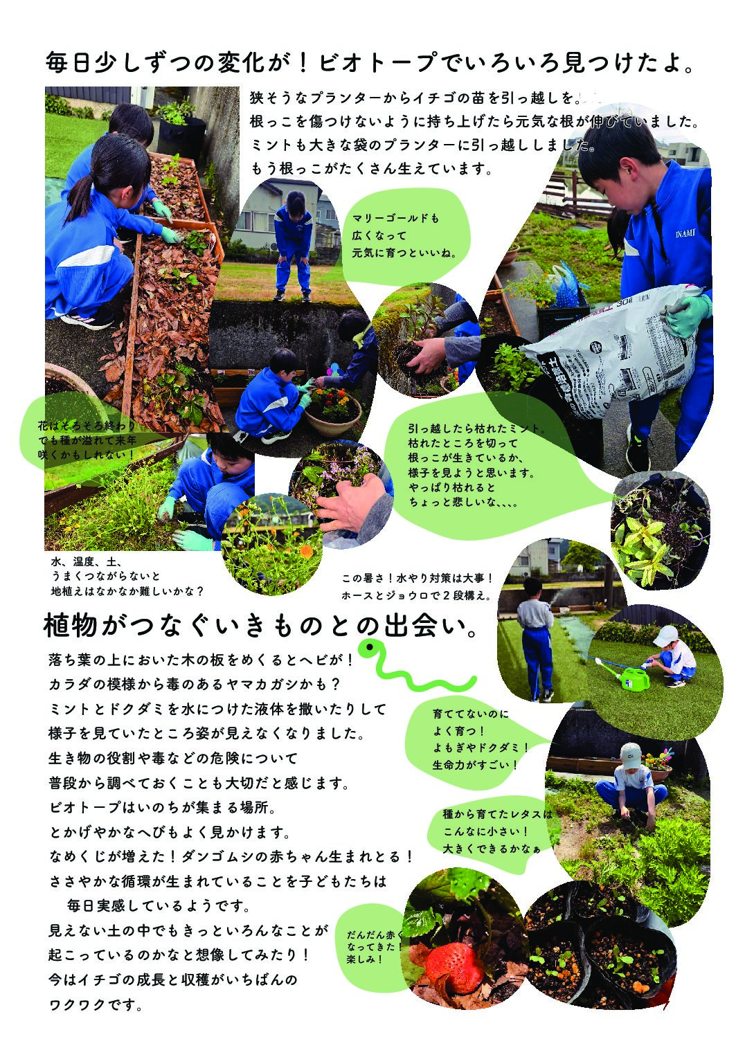 ビオトープづくり 〜毎日少しずつ変化してる〜