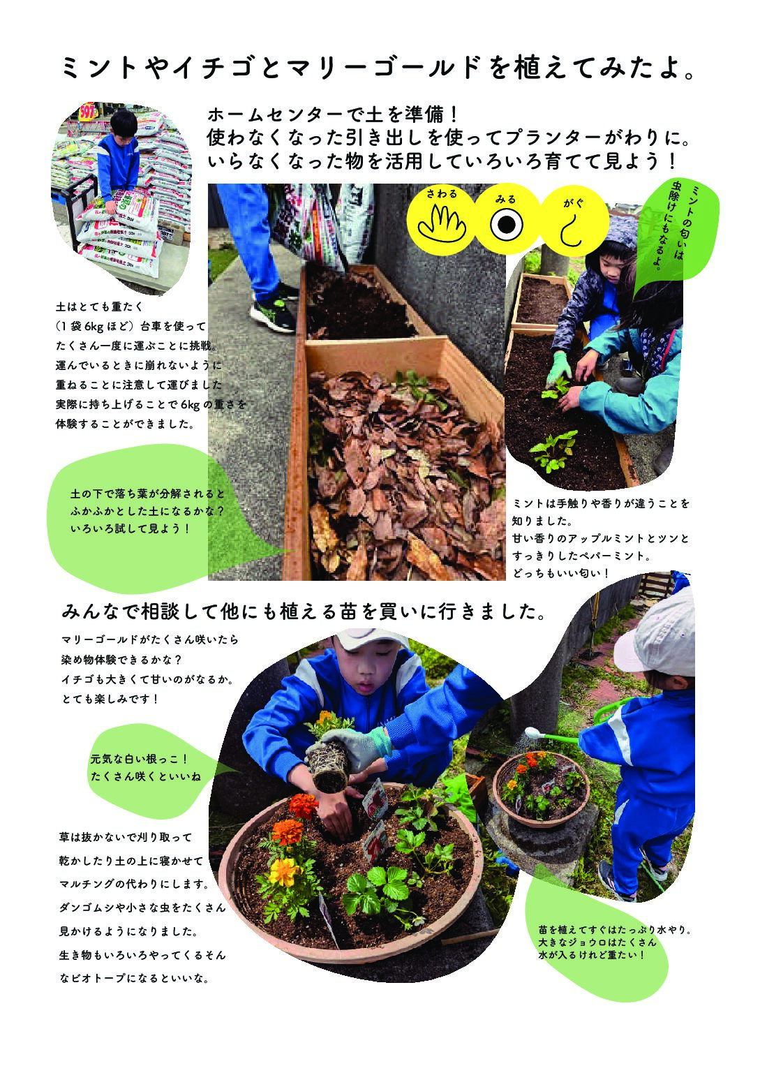 ビオトープづくり 〜苗を植えてみたよ〜