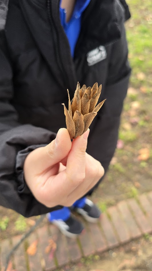 秋みつけの公園で