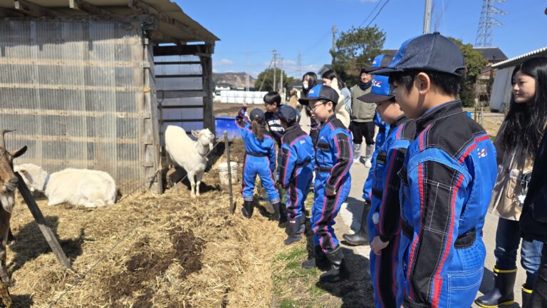 暮らしとつながる時間酪農体験 in Clover farm